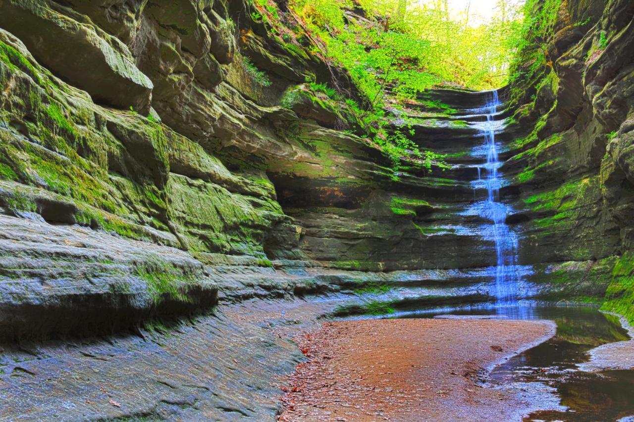 Starved Rock & Ottawa Retreat Amazing Getaway Home Εξωτερικό φωτογραφία